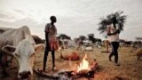 FILE - Dinka cattle herdsmen in Abyei..