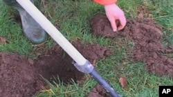 Roger Mintey searches for valuables with a metal detector