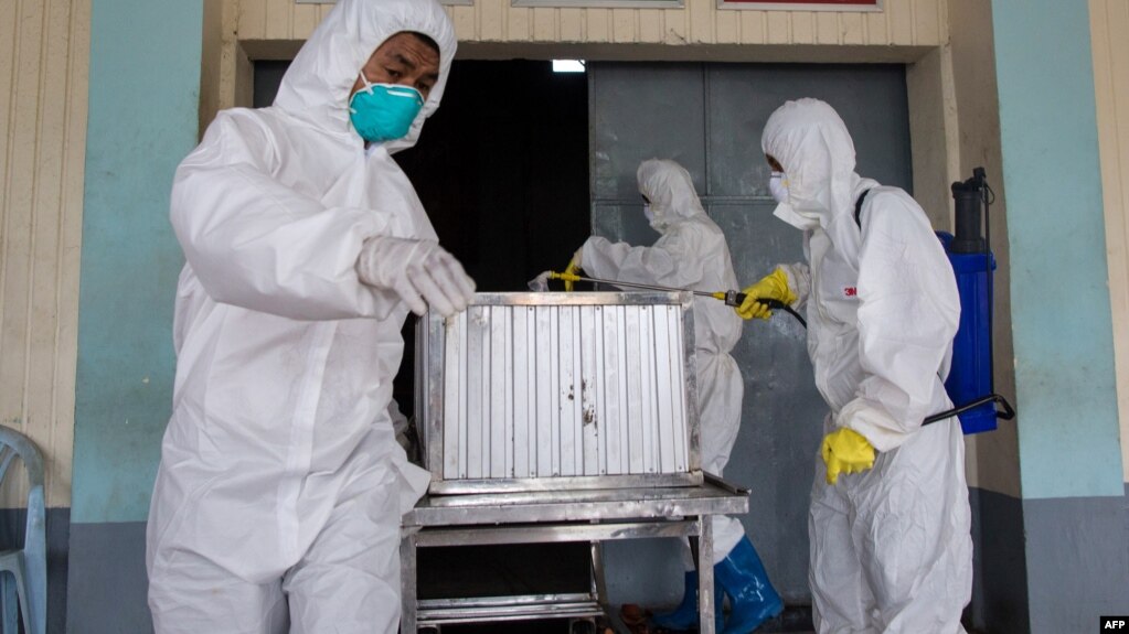 Çində H1N1 virusunun yeni növü aşkarlanıb