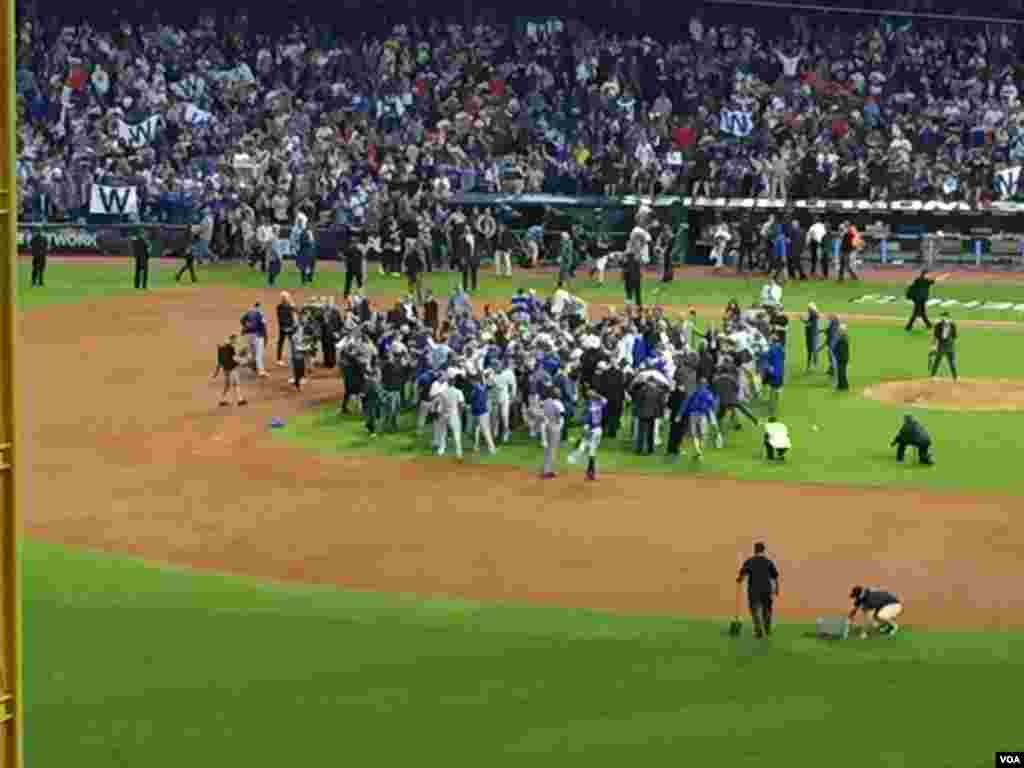 The Chicago Cubs celebrate at Progressive Field in Cleveland after defeating the Indians 8-7 in Game 7 of the World Series, Nov. 2, 2016. (K.Farabaugh/VOA)