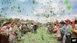 Cultivadores de coca en Bolivia lanzan hojas de la planta como protesta en Chimore, Bolivia, en el año 2000, cuando prematuramente se dijo que el país había ganado la guerra contra la expansión de esos cultivos. Bolivia es ahora el segundo productor de la