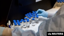A lab technician inspects filled vials of investigational coronavirus disease treatment drug remdesivir at a Gilead Sciences facility in La Verne, California, March 11, 2020.