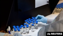 FILE - A lab technician inspects filled vials of investigational coronavirus disease treatment drug remdesivir at a Gilead Sciences facility in La Verne, California, March 11, 2020.