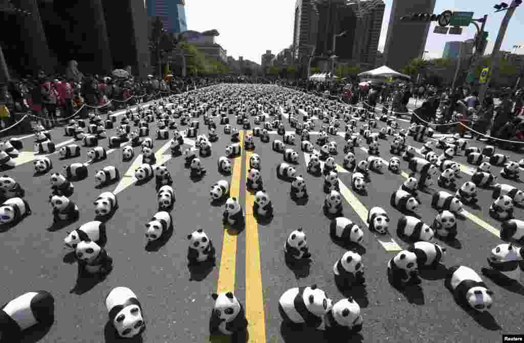 Papier mache pandas, created by French artist Paulo Grangeon, are seen displayed outside the Taipei City Hall in Taiwan as part of an exhibition called &quot;Pandas on Tour&quot;.