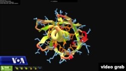 Një lojë e quajtur Fold-it përdoret për të mësuar më mirë funksionimin e proteinave