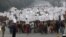 Women hold placards as they march during a rally organized by Delhi Chief Minister Sheila Dikshit (unseen) protesting for justice and security for women, in New Delhi, January 2, 2013.