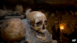 Une soirée d’Halloween à-côté des crânes et des os sont empilés aux Catacombes à Paris, France.