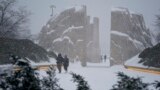 Salju menyelimuti Tugu Peringatan Martin Luther King Jr. di Washington, Minggu, 16 Januari 2022. (AP/Carolyn Kaster)