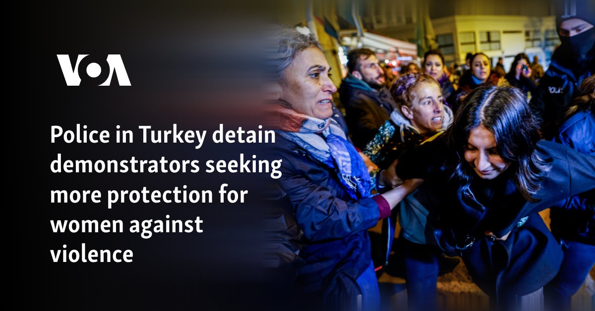 Police in Turkey detain demonstrators seeking more protection for women against violence