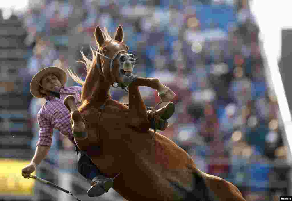 A gaucho rides an untamed horse during Creole week celebrations in Montevideo, Uruguay, April 17, 2019.