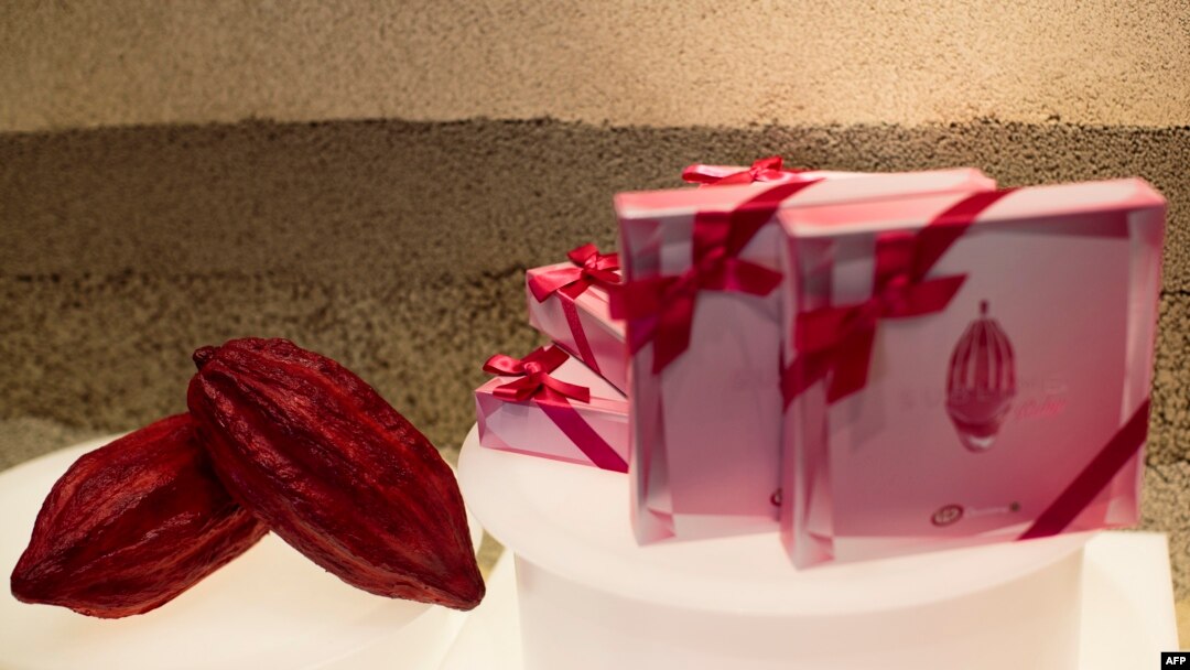 Bungkusan KitKat indah berisi cokelat rubi merah muda, di samping buah kakao tiruan di toko cokelat KitKat, di Tokyo, 7 Februari 2018.