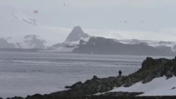 အန္တာတိကတိုက်ဆီ အလည်တခေါက်