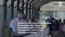 Lo que debes tener en cuenta si deseas cruzar la frontera entre Colombia y Venezuela