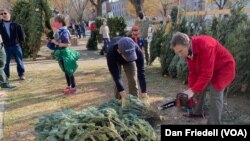 A man uses a chainsaw to cut the stump of a Christmas tree that was just sold in Washington, D.C.'s Capitol Hill neighborhood.
