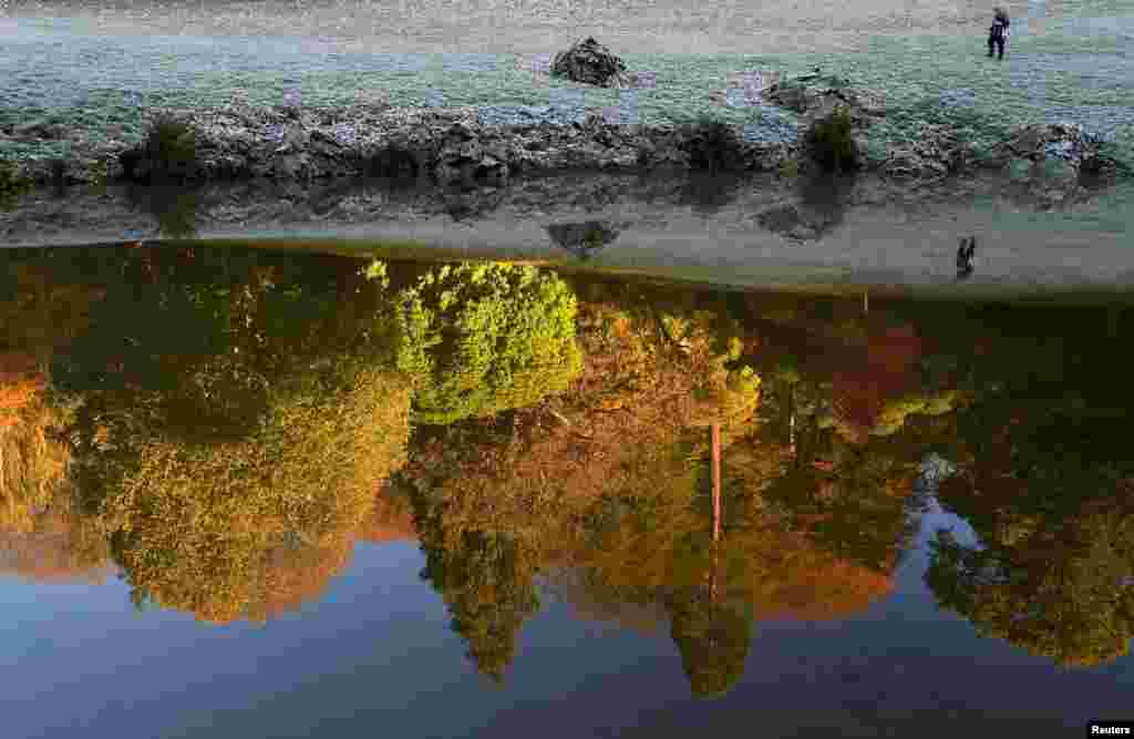 A visitor and autumn foliage are reflected in the lake at Stourhead gardens in Wiltshire, Britain, November 2, 2018.