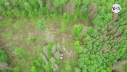 'Plantando América', el proyecto que llevó a un salvadoreño a ser nominado al Premio Nobel de la Paz 2020