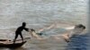 一位渔民在金边的湄公河上撒网。（资料照）