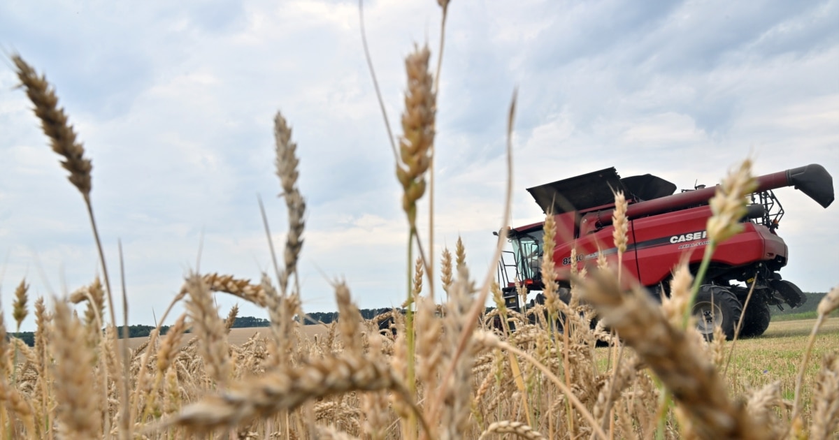 Revkova Nastya bir jinsli qizlarda Jinsiy yol bilan sikni soradi