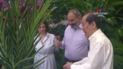 Խոլորձ՝ Նիկոլ Փաշինյանի և Աննա Հակոբյանի անունով, Սինգապուրի բուսաբանական այգում