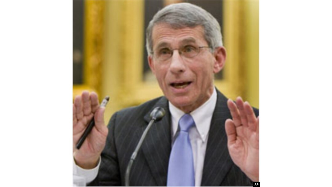 Dr. Anthony Fauci, director of the National Institute of Allergy and Infectious Diseases (file photo)