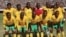 Vakawanda Vofarira Kubudirira kweZimbabwe Warriors
