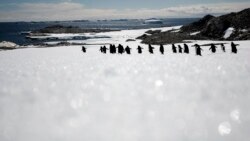 Quiz - Searching for Clues on Climate Change in Antarctica