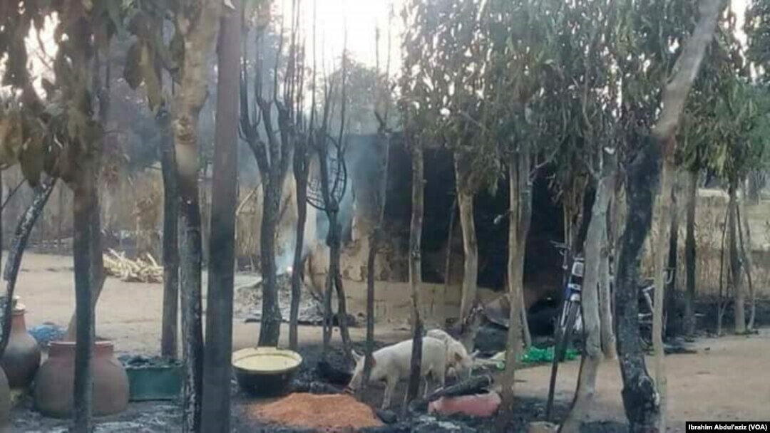 Rikicin makiyaya da 'yan kabilar Bachama a jihar Adamawa