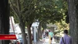 [hlai] Washington DC - thành phố của cây xanh