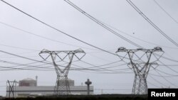 Electricity pylons carry power from Cape Town's Koeberg nuclear power plant, South Africa. (File)