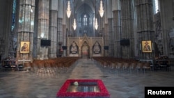 Meghan Markle's wedding flower lies on the grave of the Unknown Warrior in the west nave of Westminster Abbey, London, Britain May 20, 2018. Victoria Jones/Pool via Reuters