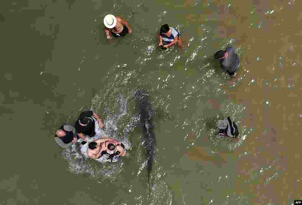 An aerial view shows people using their phones and cameras to record a shark swimming past in the shallow Mediterranean Sea water off the Israeli coastal town of Hadera north of Tel Aviv.