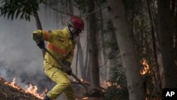 Bombeiro português em acção. (Foto de arquivo). 