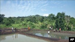 Team members check on their aquaculture venture where the community raises such fish as tilapia and catfish, in Naminya, Uganda, December 2011.