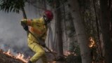 Bombeiro português em acção. (Foto de arquivo). 