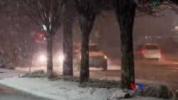 美國東海岸60厘米厚雪過百萬人斷電