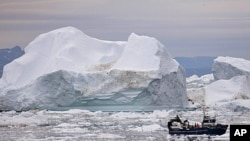A fishing boat weaves through icebergs shed from the Greenland ice sheet, near Ilulissat, Greenland, July 18, 2011.