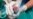 Male Panda Cub Thriving at Washington's National Zoo