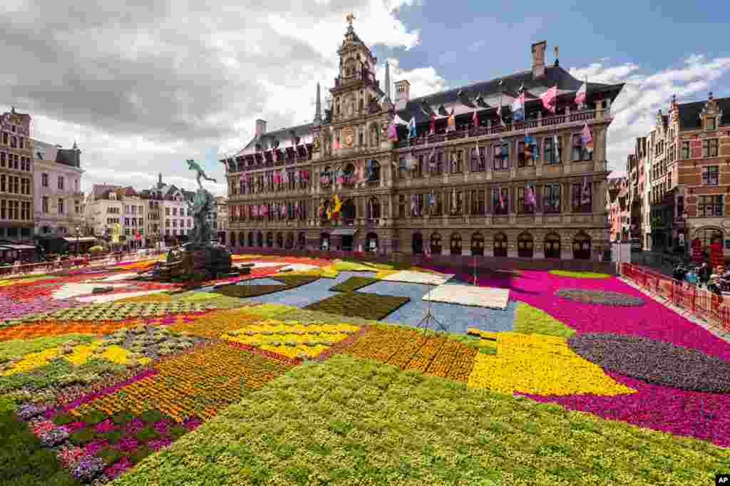 More than 173,000 pots of plants and herbs form a flower carpet in front of the city hall in Antwerp, Belgium. To celebrate the 450th anniversary of the Antwerp city hall, artist Anne-Mie Van Kerckhoven selected 31 different species to create a design of large geometric figures in bright sixties colors.