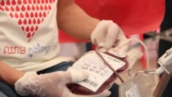 Saúde em Foco: escassez de doação de sangue preocupa profissionais de saúde