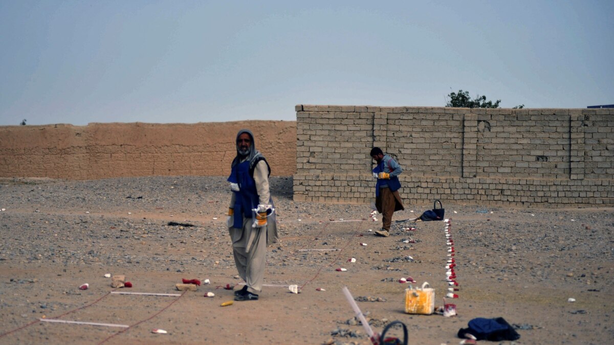 Clearing Afghanistan's Landmines One Careful Step a Time - Vimarsana News
