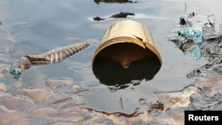 Crude oil from a Shell pipeline spill accumulates along a river bank in the Oloma community in the Niger Delta, Nov. 27, 2014.