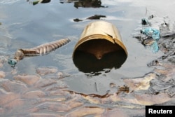 FILE - Crude oil from a Shell pipeline spill accumulates along a river bank in the Oloma community in the Niger Delta, Nov. 27, 2014.