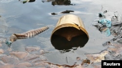 Minyak mentah yang tumpah dari pipa Shell terakumulasi sepanjang bantaran sungai di Delta Niger, 27 November 2014.