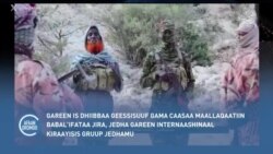 Gareen Islaamik Isteetis Somaaliyaa Keessatti Shororkeessumaaf Gama Maallaqaan Dhiibbaa Geessisuuf Hojjetaa Jira Jedhame