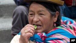 A woman chews coca leaves during an event commemorating the tradition of coca leaf chewing in La Paz, Bolivia, Jan. 11, 2017. Coca has been cultivated in the Bolivian Andes since at least the Inca era.