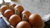 კვერცხი ჯანმრთელობისთვის სასარგებლოა