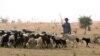 As Droughts Worsen, Phones and Radios Lead Way to Water for Niger's Herders