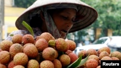 A vendor transports lychees for sale on the street in Hanoi, June 14, 2007.