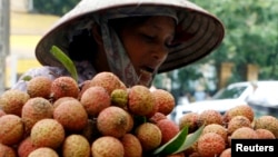 A vendor transports lychees for sale on the street in Hanoi. REUTERS/Kham (VIETNAM) - RTR1QRZG
