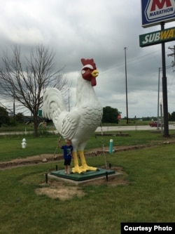A giant chicken in Indiana, one oddity designed to entice drivers off the road and out of the car.